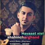 دانلود آهنگ جدید شاهین چرغند به نام هواست نیست